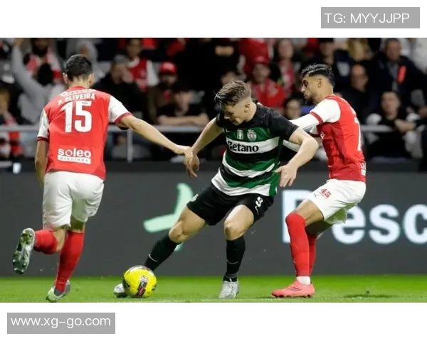 霍芬海姆与比勒费历史交锋战绩回顾及分析