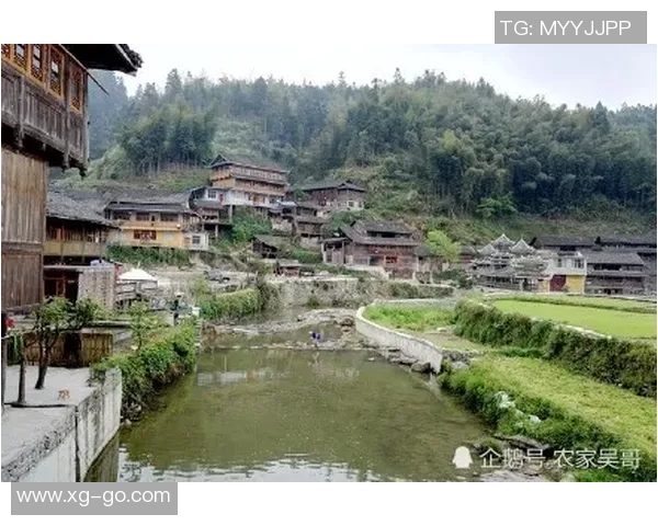 三板桥、八寨、洪山，取胜！